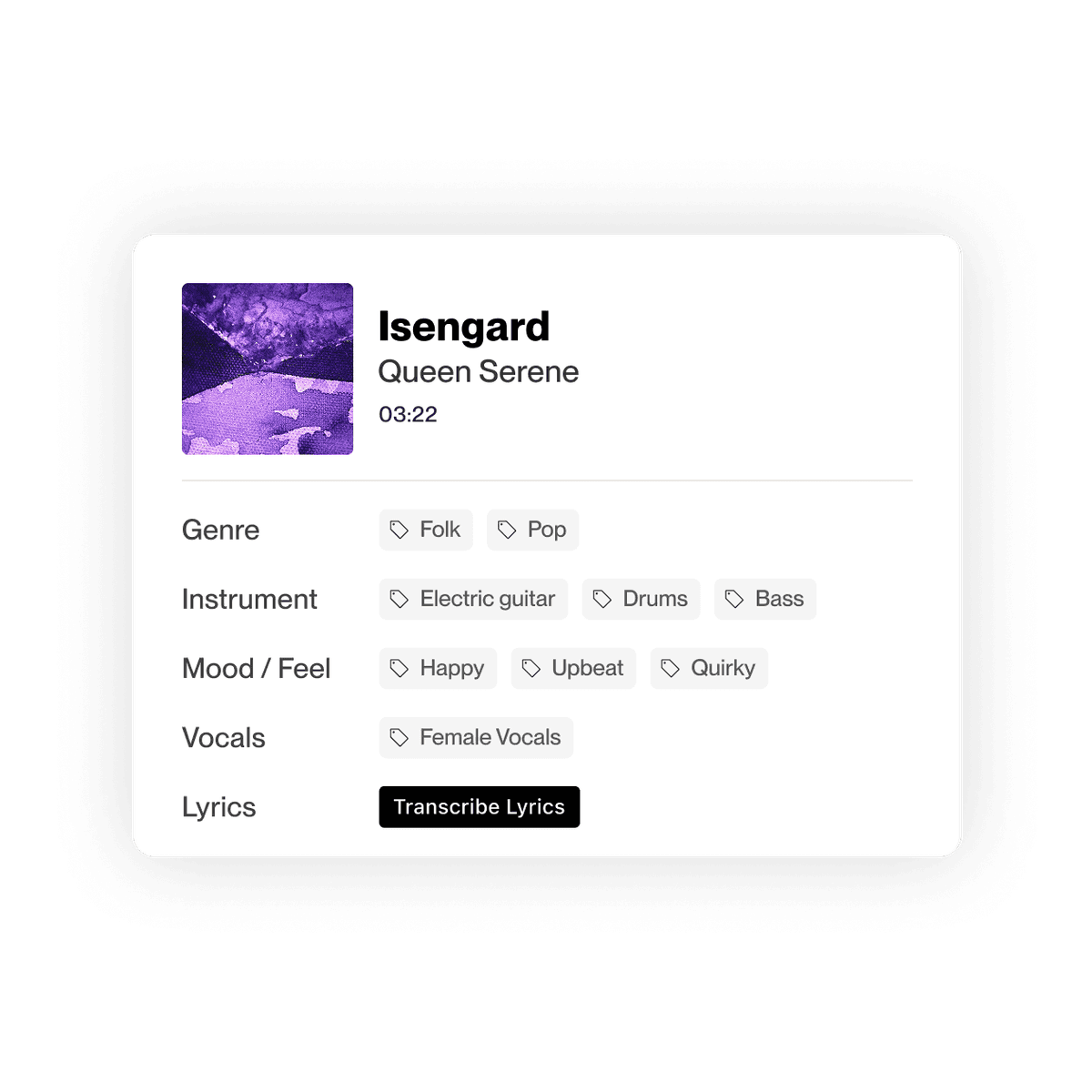 Track information shown on DISCO, including genre, instrument, mood/feel, vocalist information and lyric details